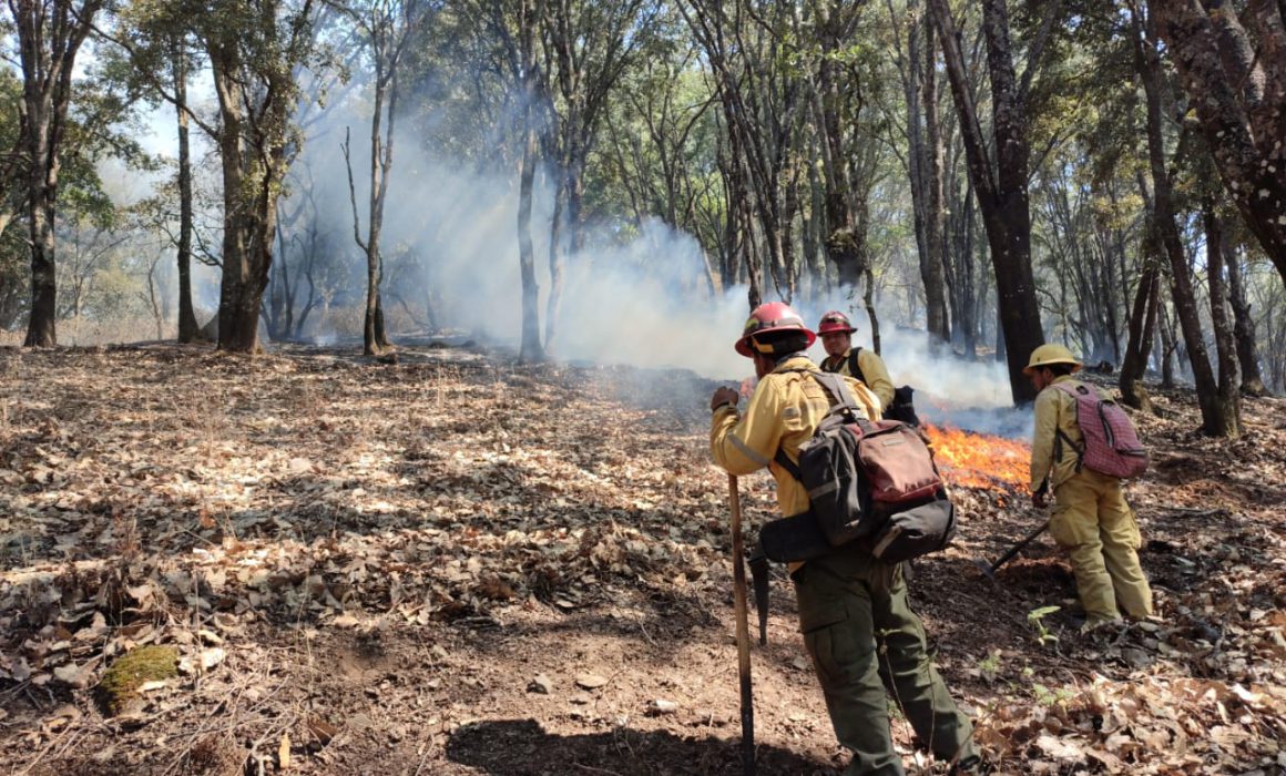 Incendio en el Cerro Viejo queda extinto; trabajan en el de Jocotepec