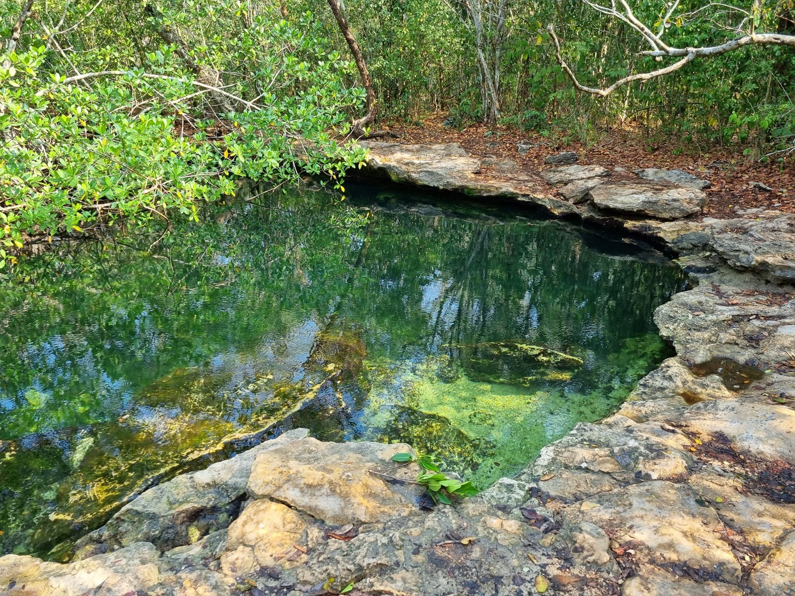 Tendrá Quintana Roo dos nuevas áreas naturales protegidas