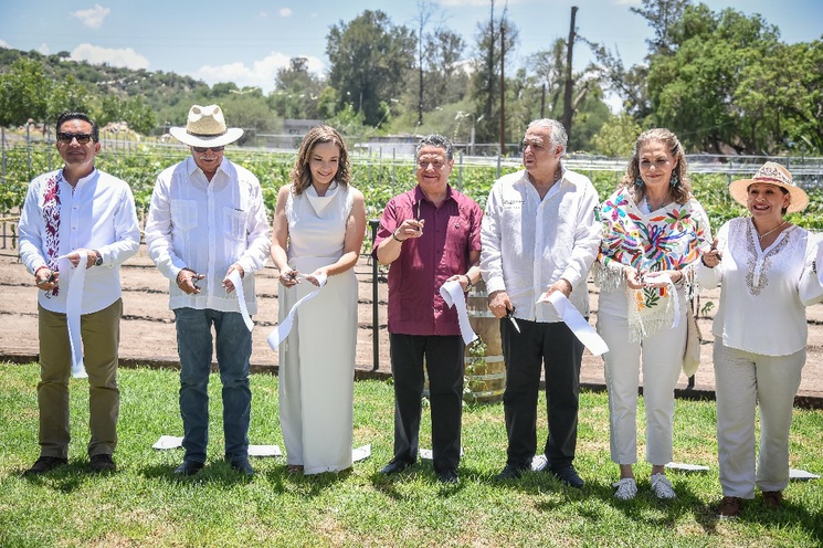 Turismo de naturaleza y enoturismo, motor del desarrollo económico en Hidalgo: Miguel Torruco