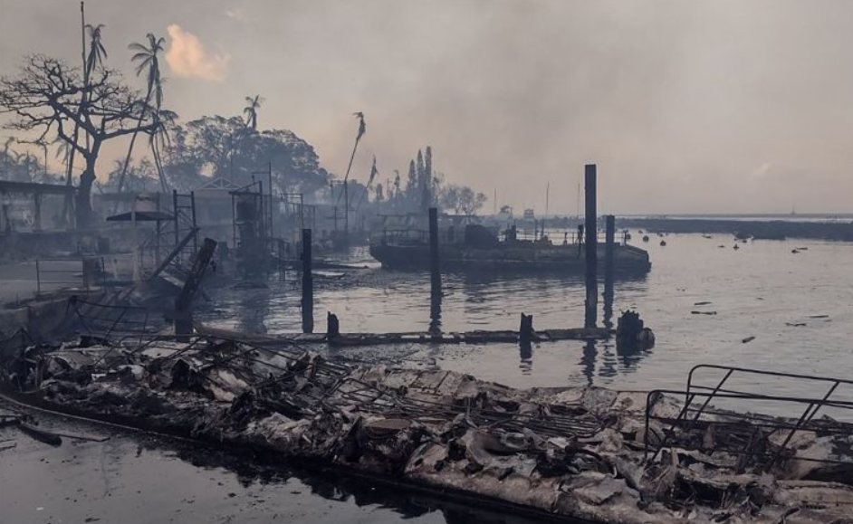 Incendios en Hawái han dejado al menos 55 muertos