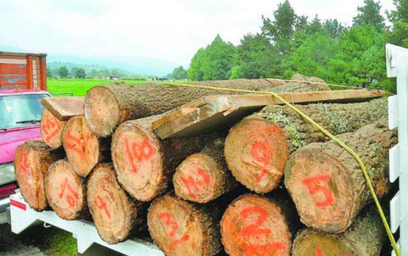 Comerciantes de madera demandan apoyo del Gobierno de CDMX