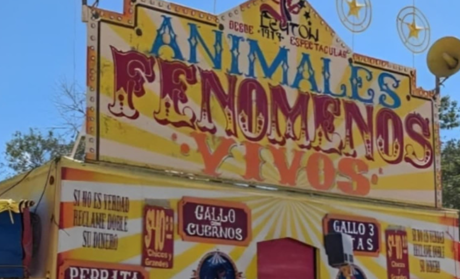 Se clausura circo que explotaba ‘Animales Fenómenos Vivos’ en Nuevo León