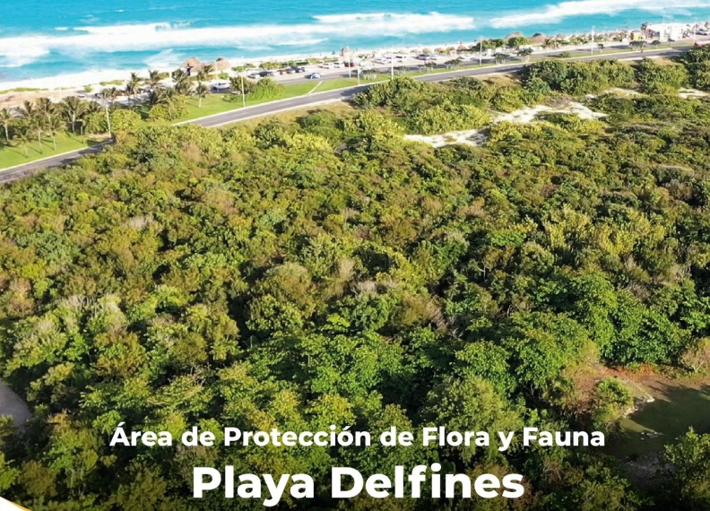 Quintana Roo tiene cuatro nuevas áreas naturales protegidas