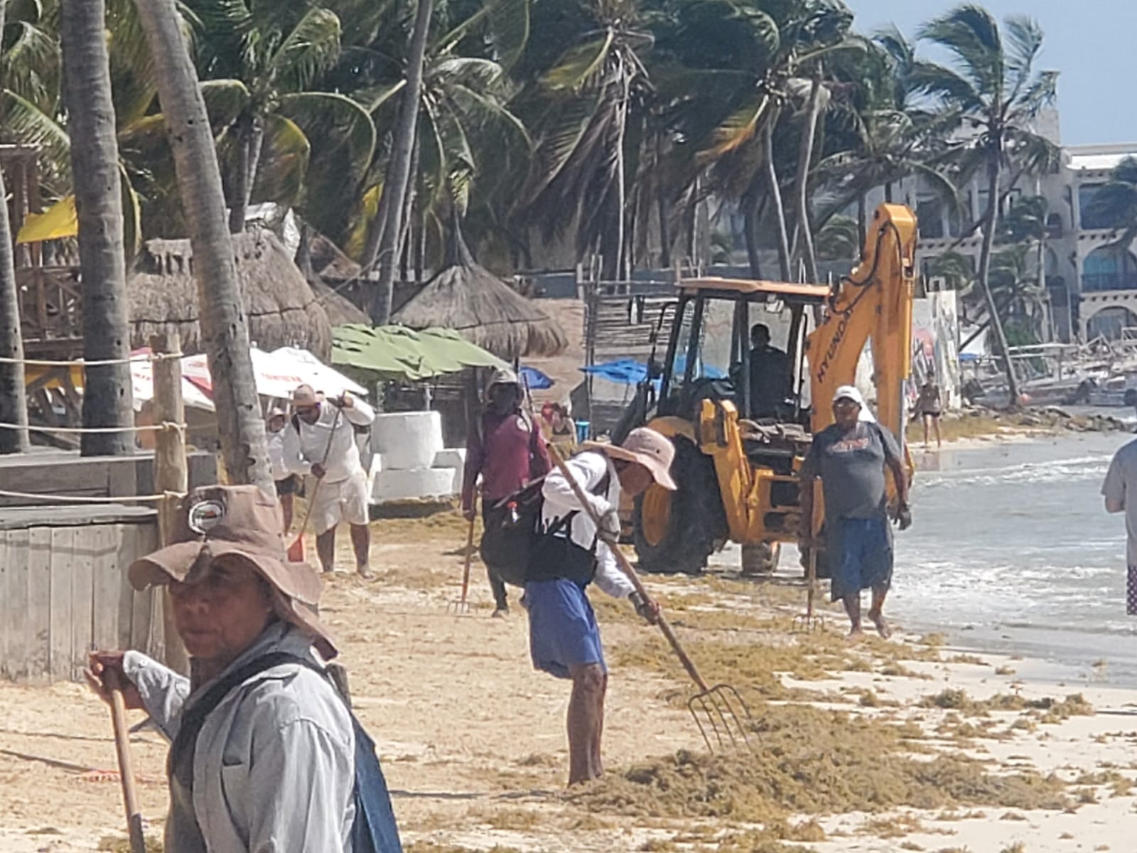 Hoteles de la Riviera Maya llegan a acuerdo con banco para transformar el sargazo