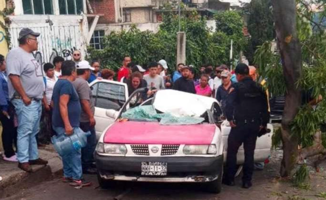 Cae árbol encima de taxi, chofer queda atrapado en CDMX