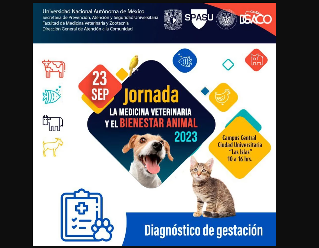 Jornada de medicina veterinaria en la UNAM