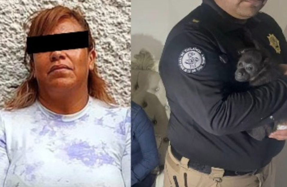 Detienen a la líder criminal en CDMX y Edomex