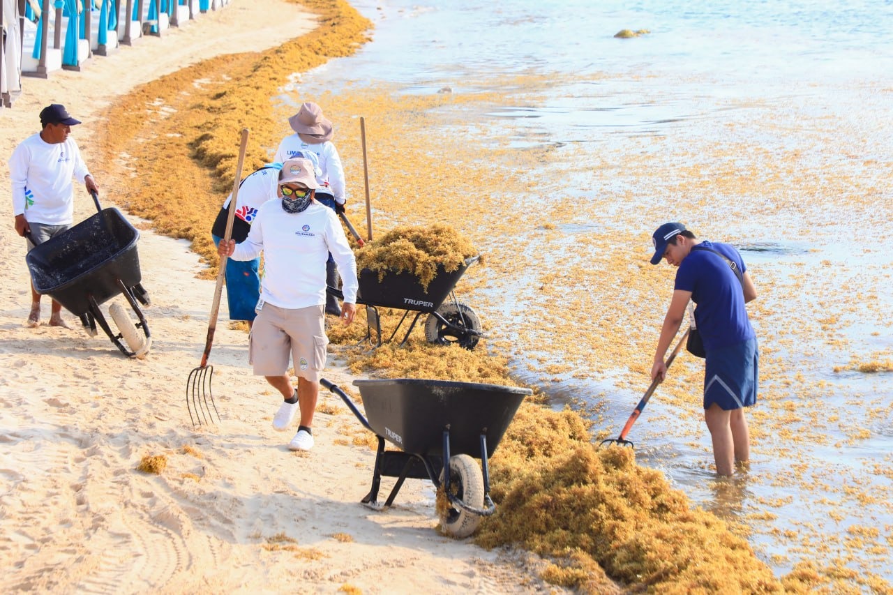 Acciones de medio ambiente a favor de locales, visitantes y turistas