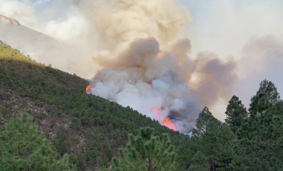 Destaca Protección Civil reducción de incendios forestales en NL