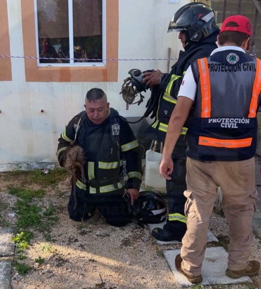 Rescatan bomberos a perrito atrapado en incendio en Playa del Carmen