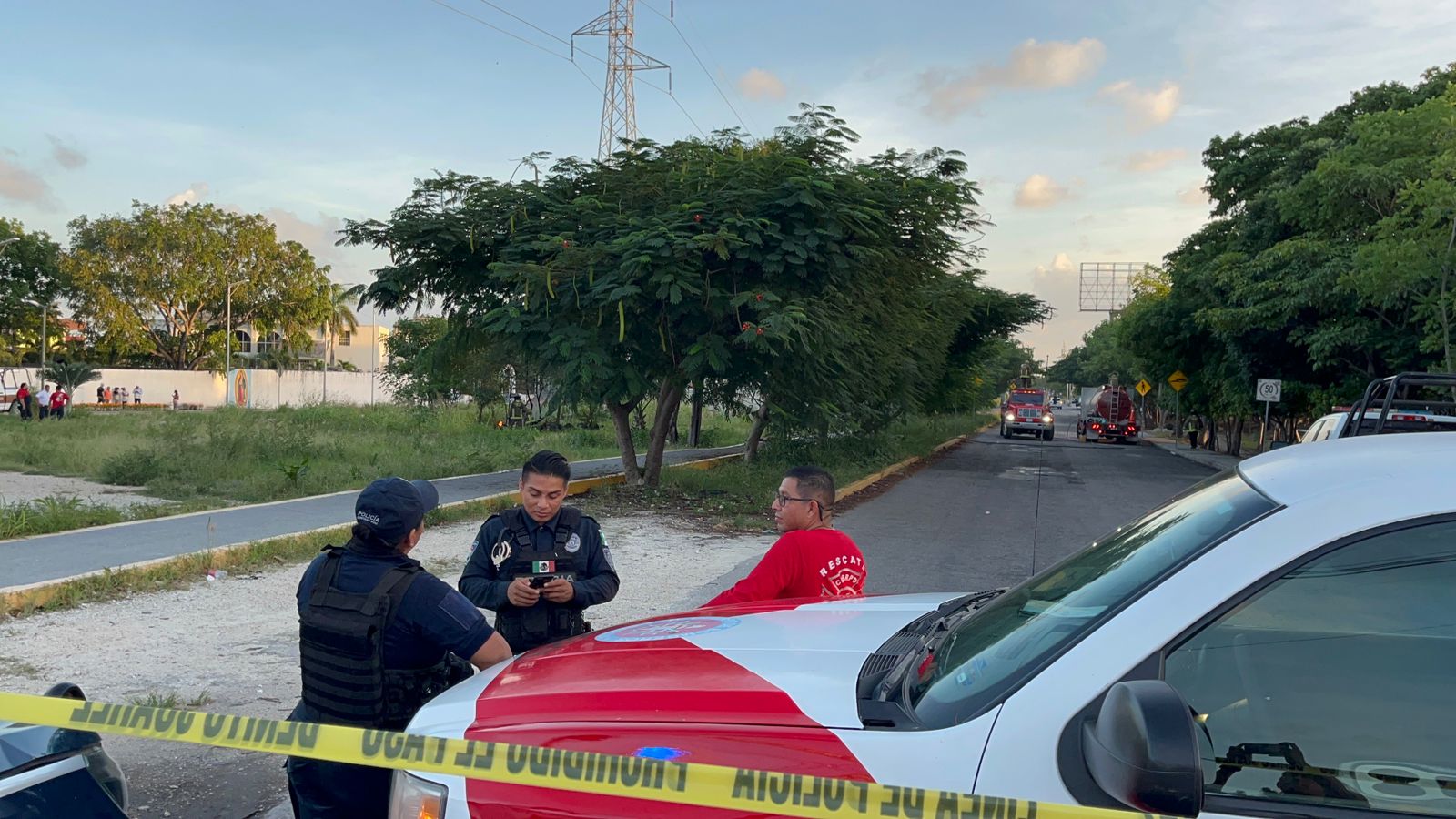 Muere un hombre por ataque de abejas en Cancún