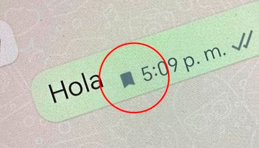 ¿Cuál es el significado de la bandera de WhatsApp y cuándo debo utilizarla?