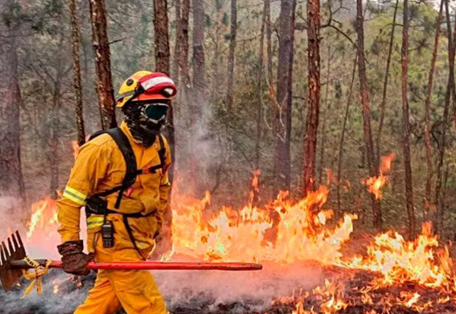 Inician en Jalisco trabajos de prevención de incendios forestales