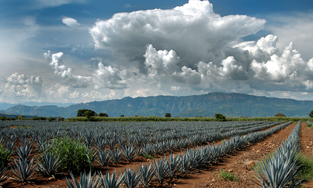 Balacera en Ocotlán, Jalisco