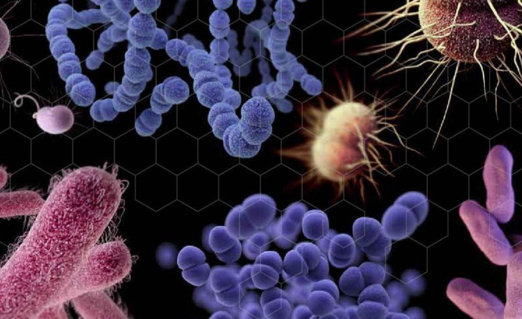 Alertan sobre resistencia antimicrobiana