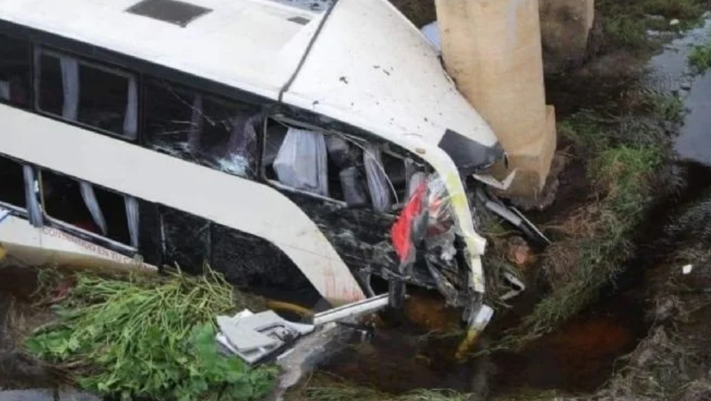 Pierden la vida 12 personas en accidente de autobús de turismo en Veracruz