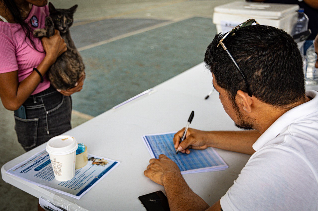 Realizan por primera vez, censo canino y felino en Solidaridad