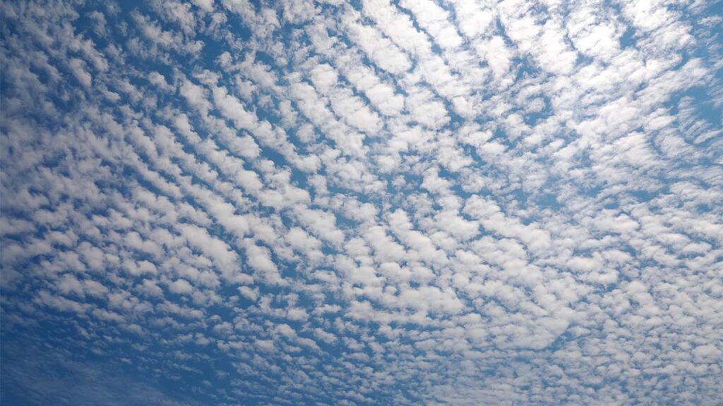 ¿Por qué se forman nubes “aborregadas” en el cielo de Nuevo León cuando hace frío?