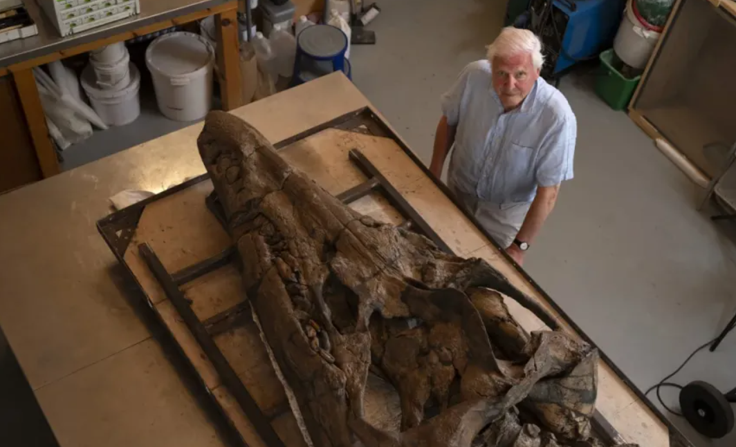 Encuentran cráneo de monstruo marino prehistórico en Inglaterra