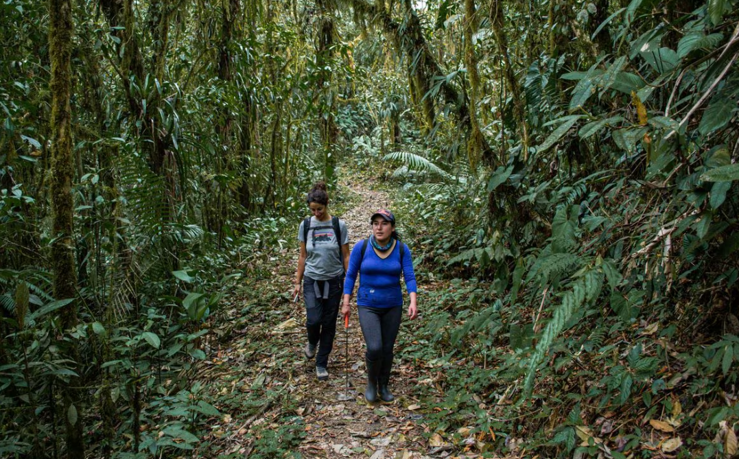 Ecuador y sus bosques, un acierto para el turismo