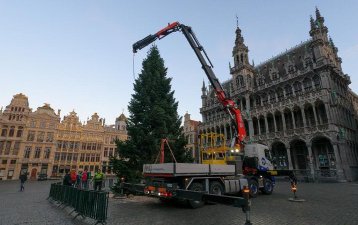 Árbol de navidad cae y mata a mujer en Bélgica