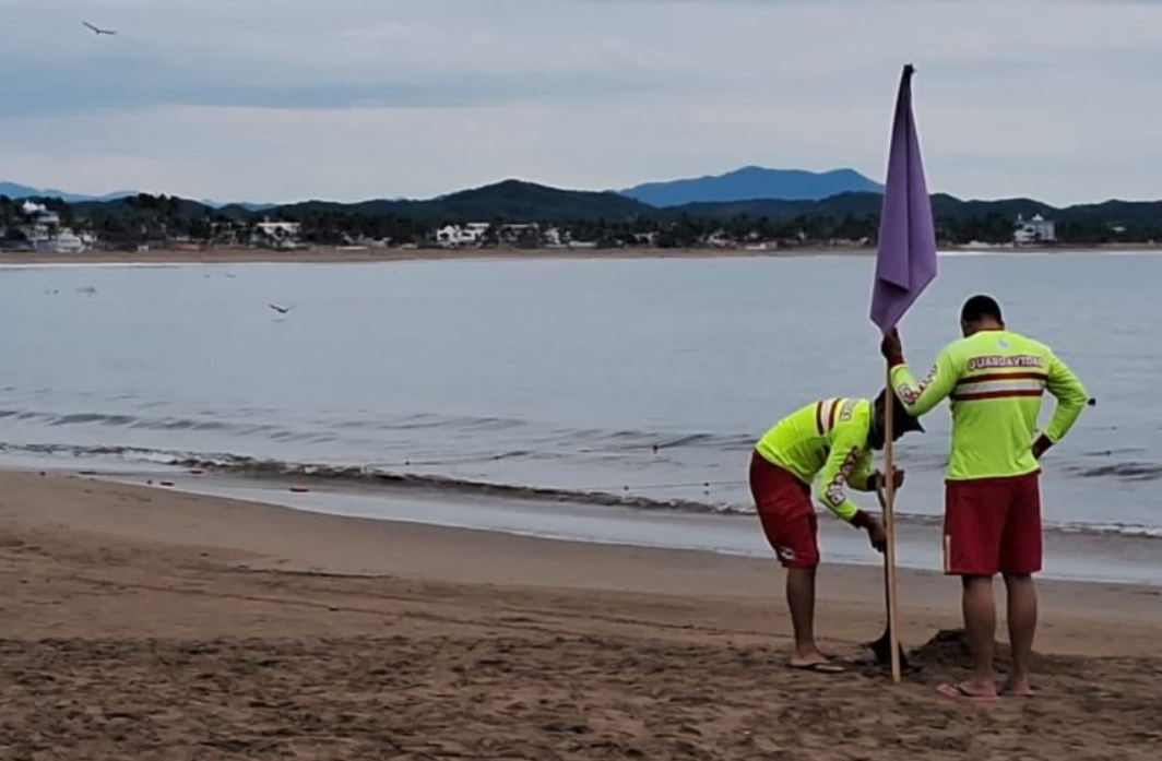 ¿Por qué atacó el tiburón en las playas de Melaque?