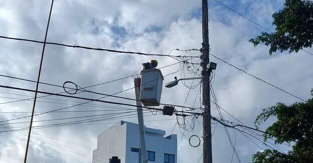 Tras 4 días, rescatan a gatito atrapado en la cima de un poste de CFE, en Cancún