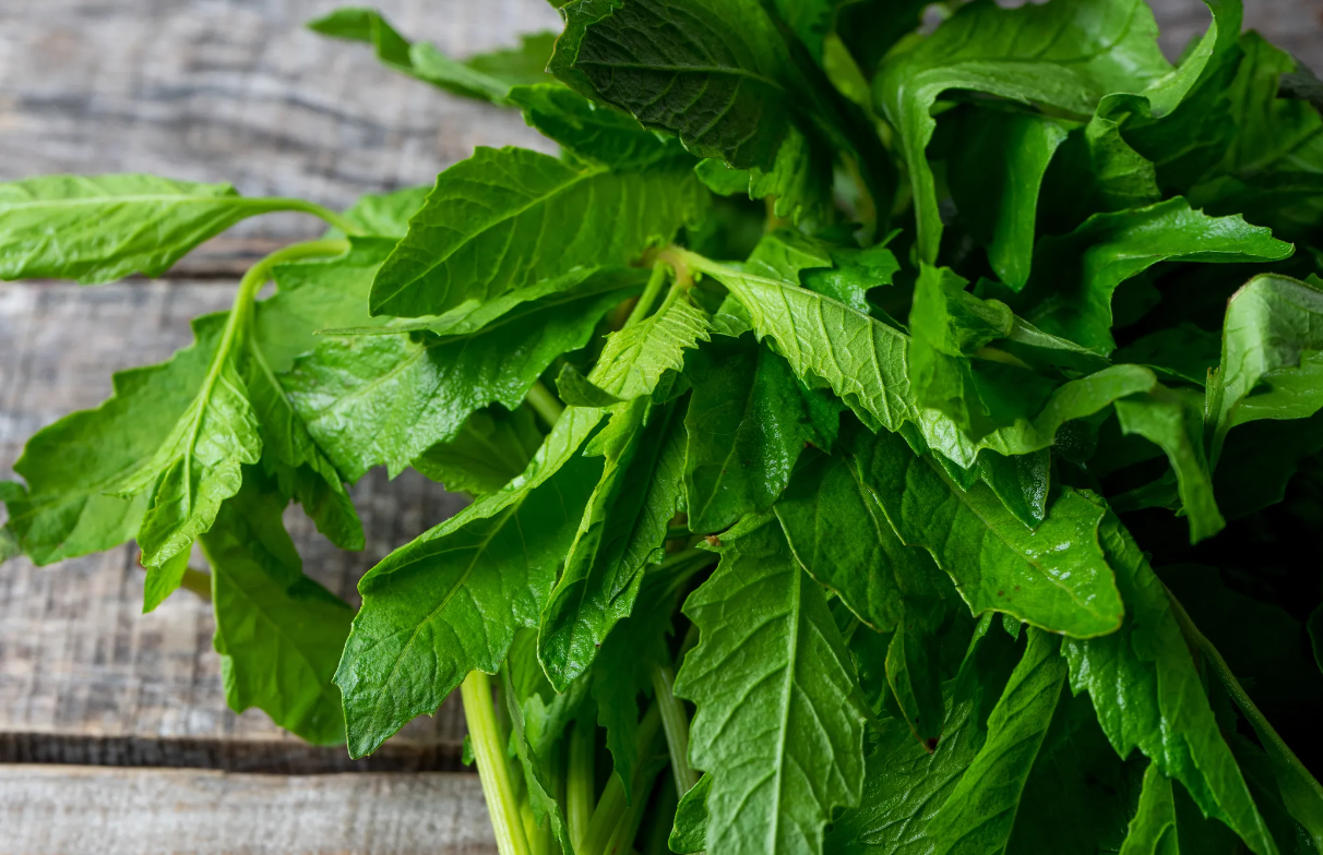 Estos son los usos medicinales del epazote