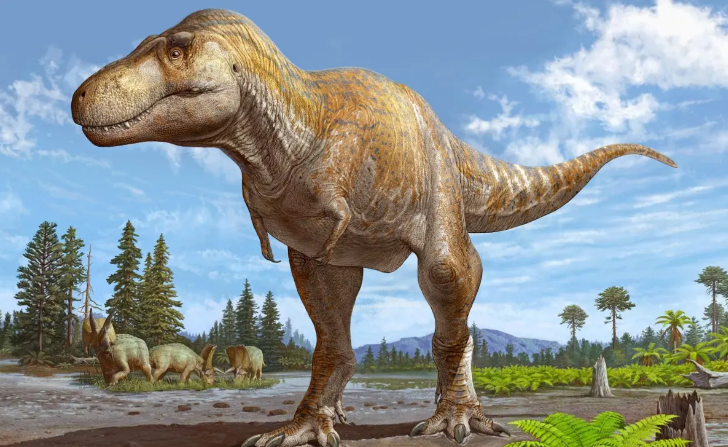 Fósil hallado en Nuevo México es una nueva especie de Tiranosaurio