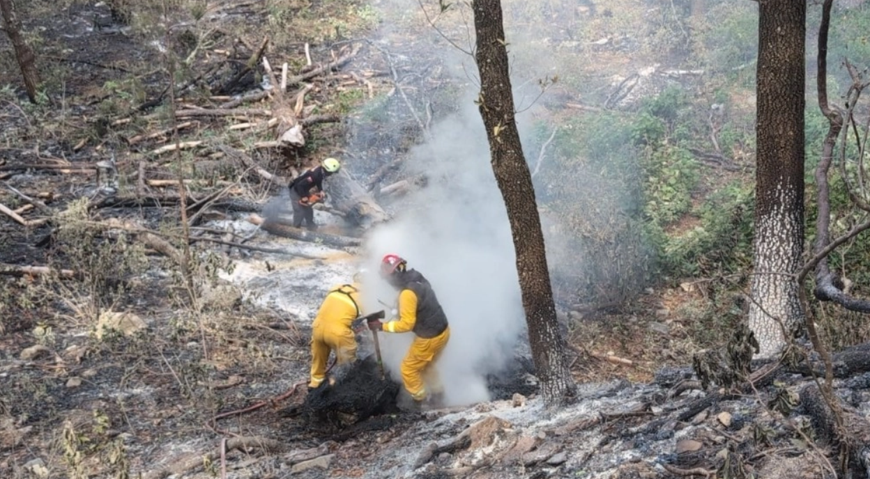 Tras cuatro días sofocan incendio forestal en sierra de Iturbide, NL