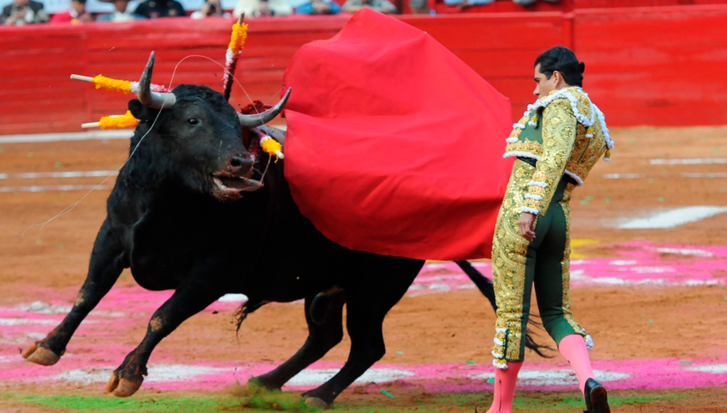 Suspenden nuevamente corridas de toros en CDMX