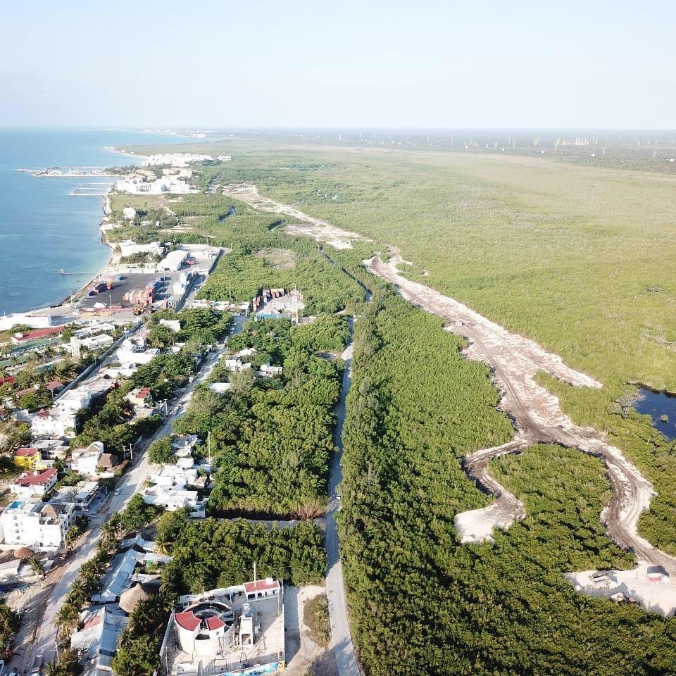 Decreta Federación Área Natural Protegida a los manglares de Puerto Morelos