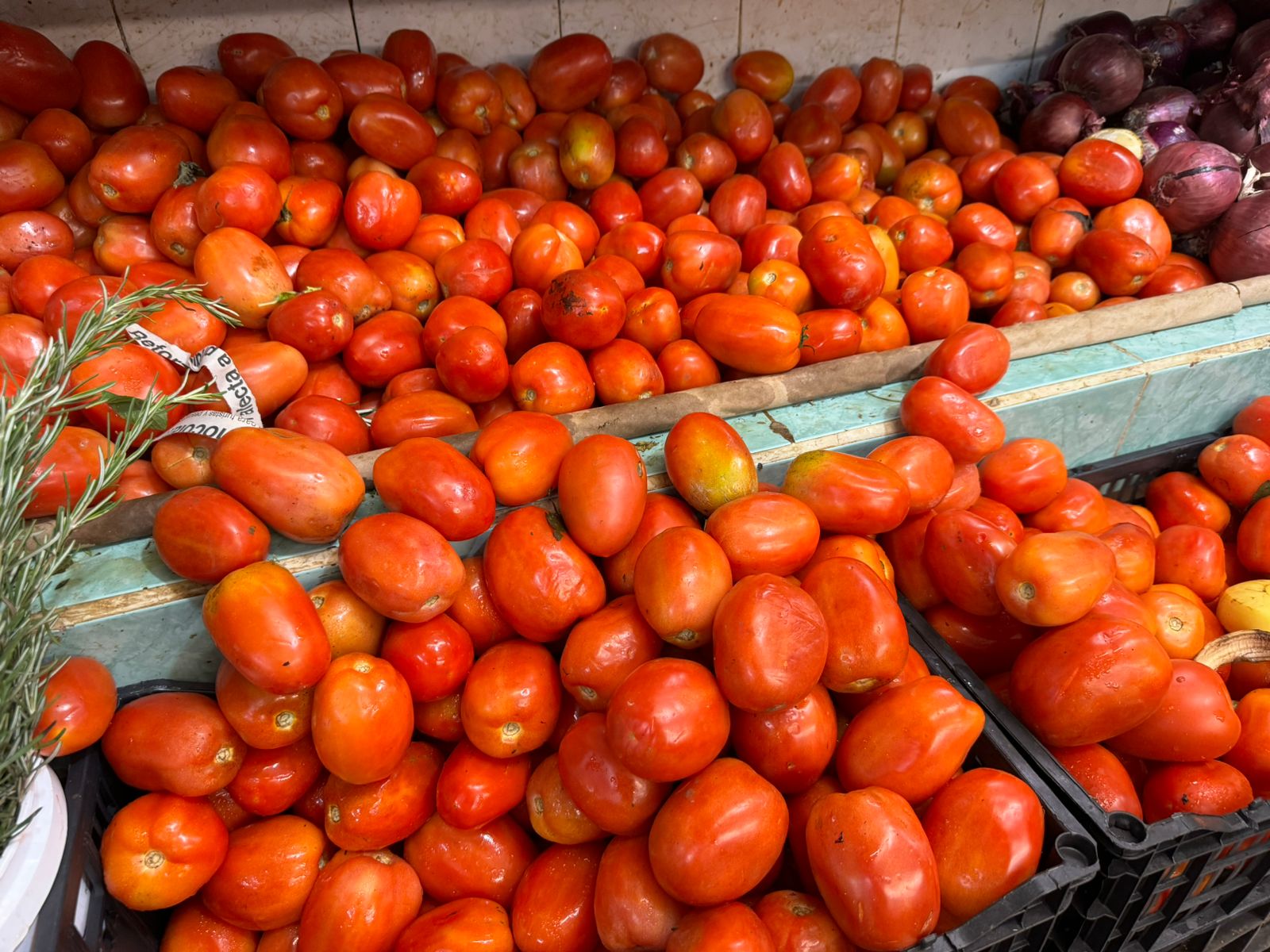 Precio de verduras aumenta tres veces en el Mercado 23 de Cancún