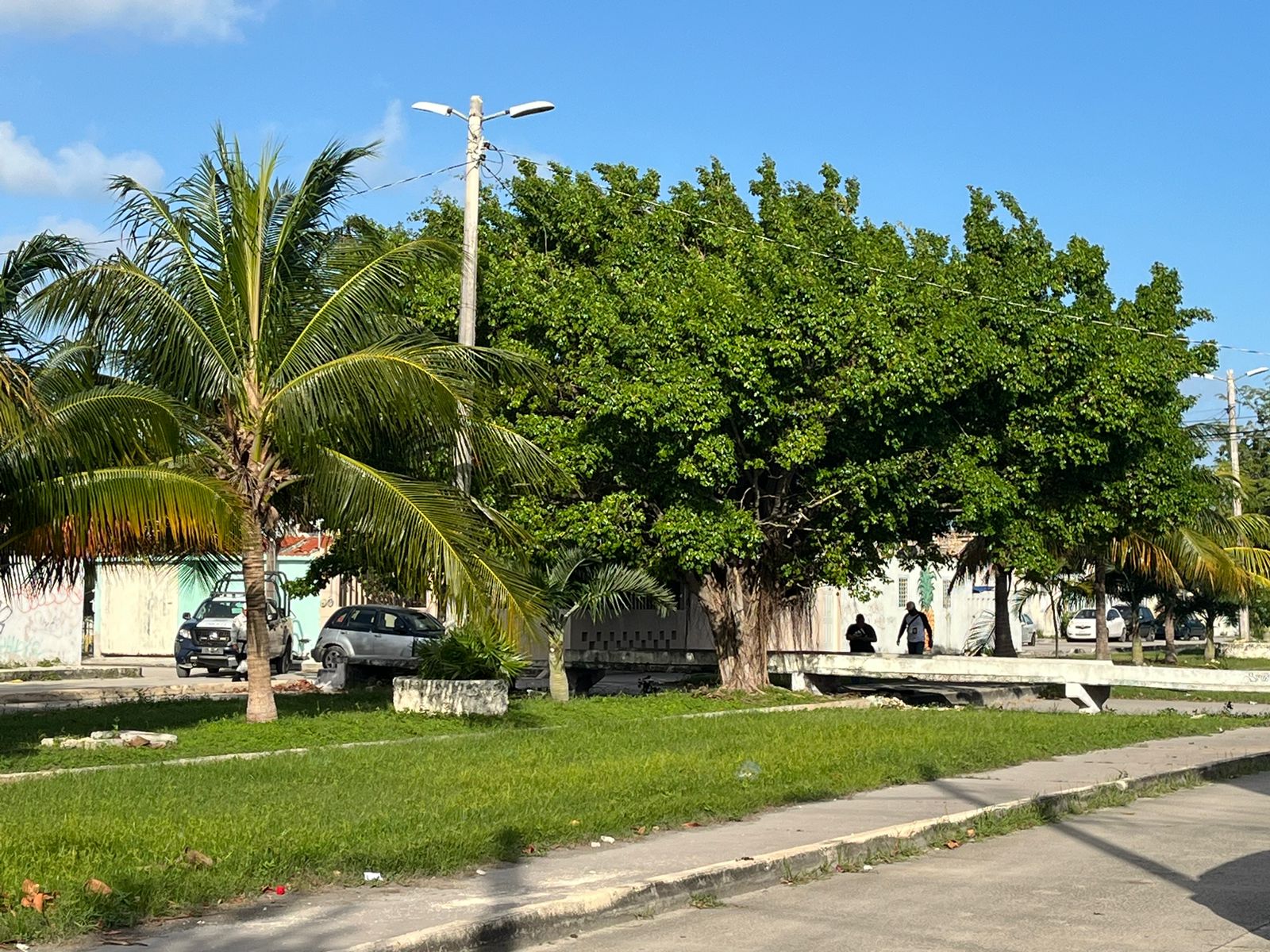 Hallan a un hombre muerto en la Supermanzana 74 de Cancún