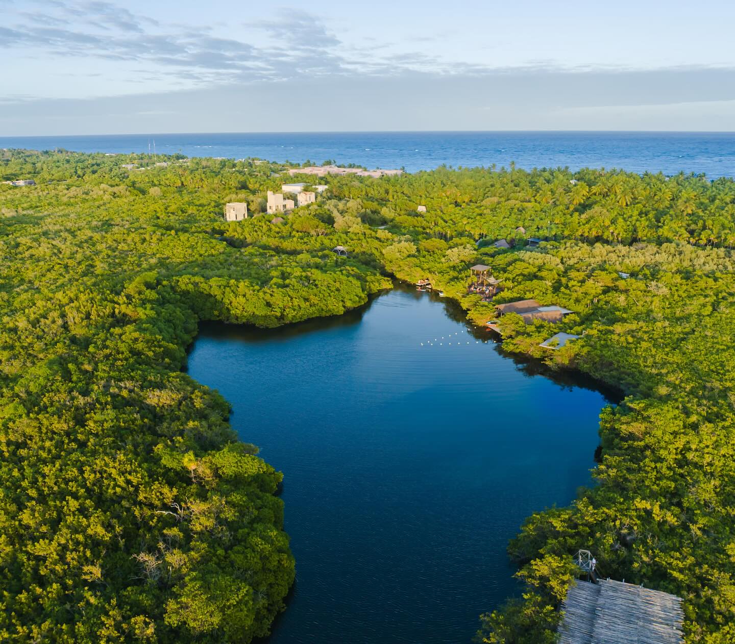 Conoce el ‘Cenote Delfines’ un imperdible de Tulum