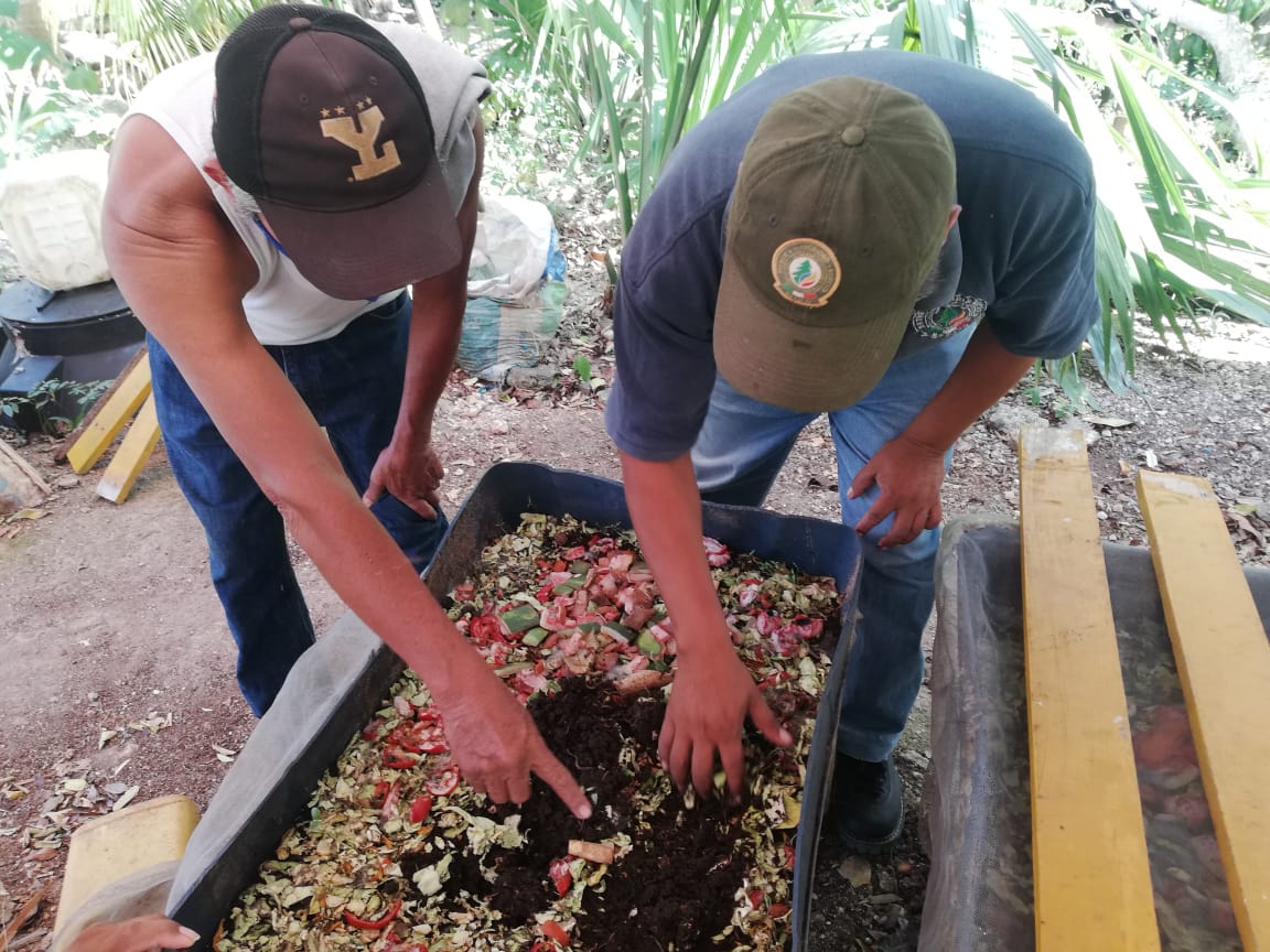 Fomentarán uso de insectos como biofertilizantes en la Península de Yucatán