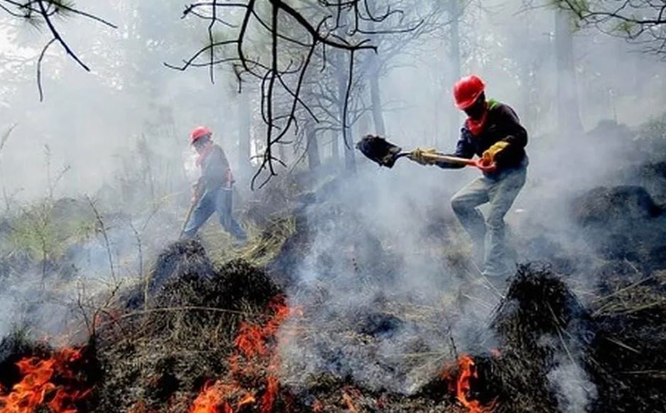 VIDEO | Inicia la temporada de incedios forestales 2024, autoridades de Q. Roo hacen un llamado a prevenir