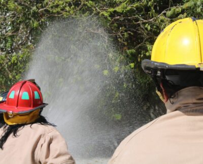 Enfocan esfuerzos para prevenir incendios forestales en la actual temporada de sequía en Puerto Morelos