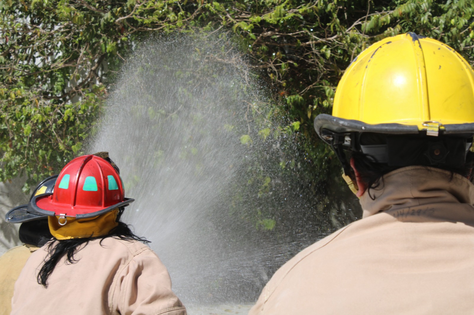 Enfocan esfuerzos para prevenir incendios forestales en la actual temporada de sequía en Puerto Morelos