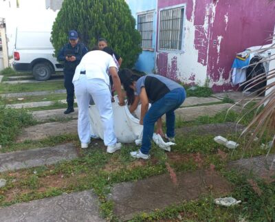 Envenenan al menos a tres perros y dos gatos en el fraccionamiento Prado Norte de Cancún; uno se salva