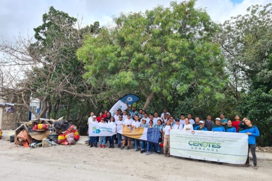 Al menos 25 cenotes urbanos requieren limpieza constante