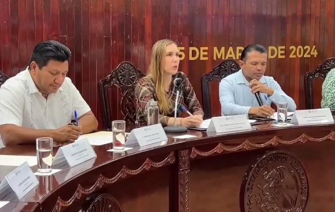 Atenea Gómez pide licencia temporal para buscar reelección