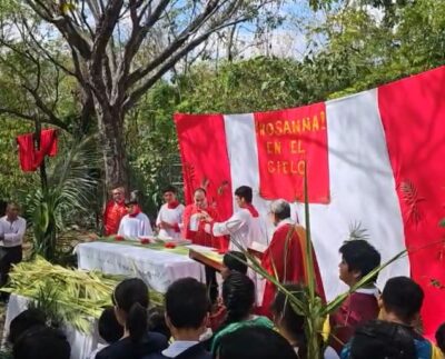 Celebran Domingo de Ramos en 79 parroquias