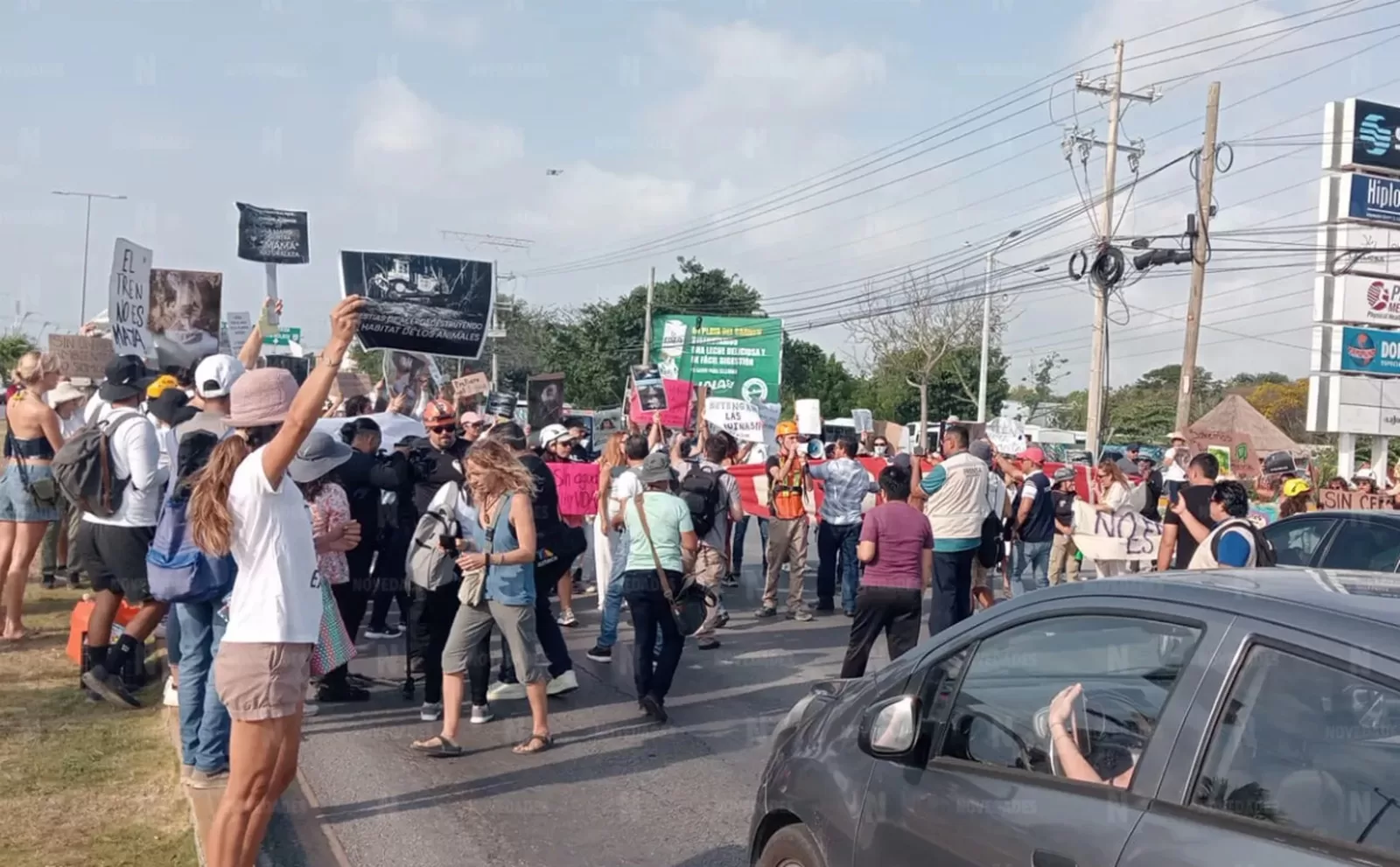 Ambientalistas bloquean la carretera en Playa del Carmen