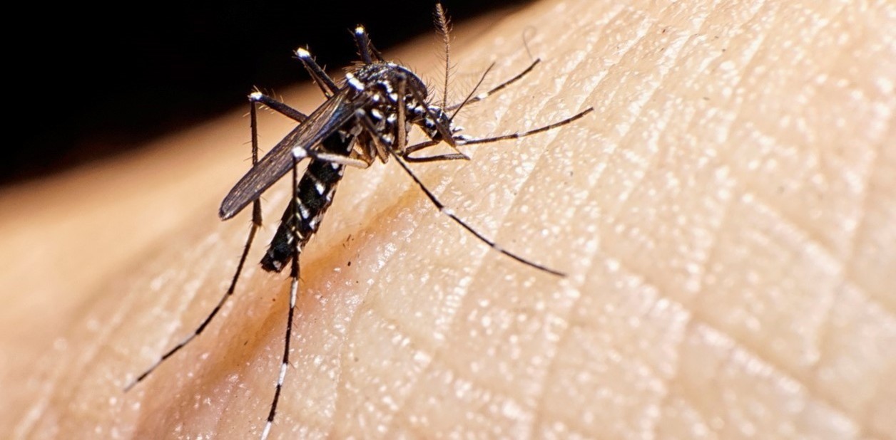 Aumentan casos sospechosos de dengue en José María Morelos, pese tiempo seco