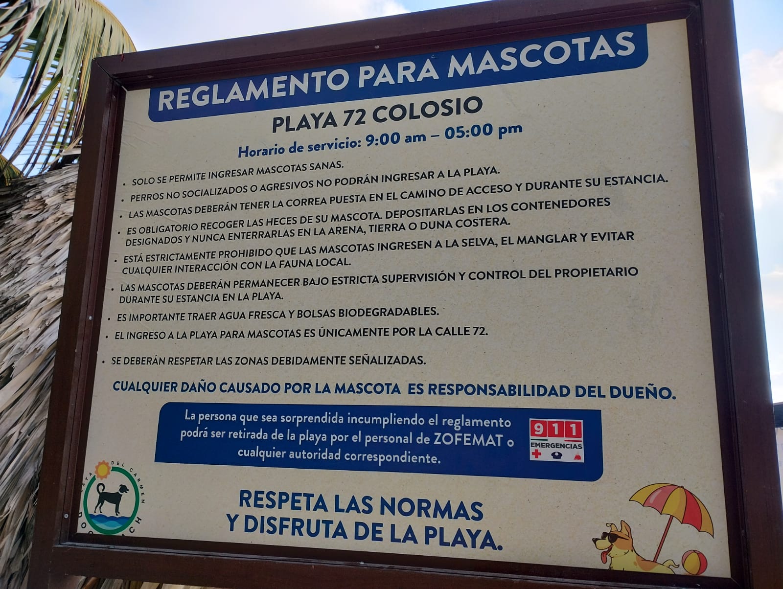Presentan reglamento para mascotas en la ‘playa de la Colosio’
