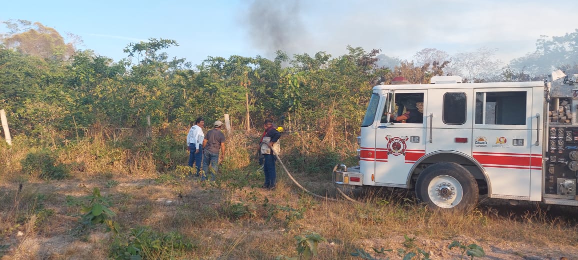 COEPROC y el Cuerpo de Bomberos de Othón P. Blanco atienden incendios en diversos puntos del municipio