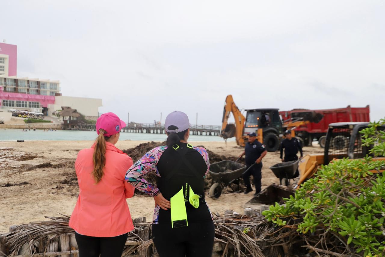 Gobierno Municipal de Isla Mujeres retira en tiempo récord más de 500 toneladas de sargazo de Playa Norte