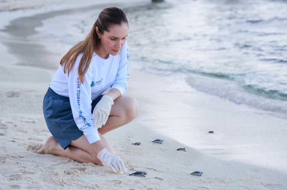 Gobierno de Isla Mujeres refrenda su compromiso con la preservación de la tortuga marina