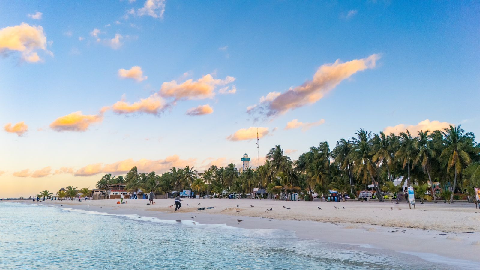 Playas de Isla Mujeres refrendan por tercer año consecutivo el distintivo Blue Flag